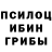 Псилоцибиновые грибы мицелий __StaLiN_1917