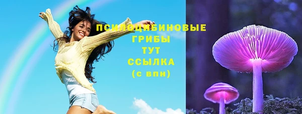 МДПВ Алзамай