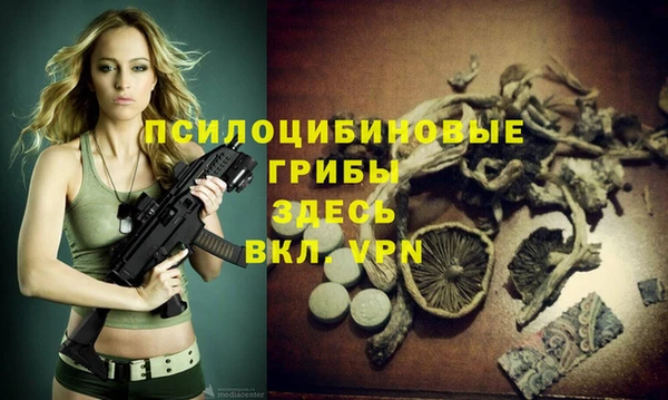 МДПВ Алзамай