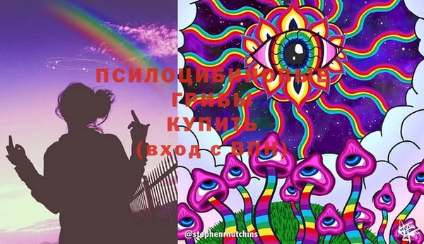 эйфоретик Алексеевка