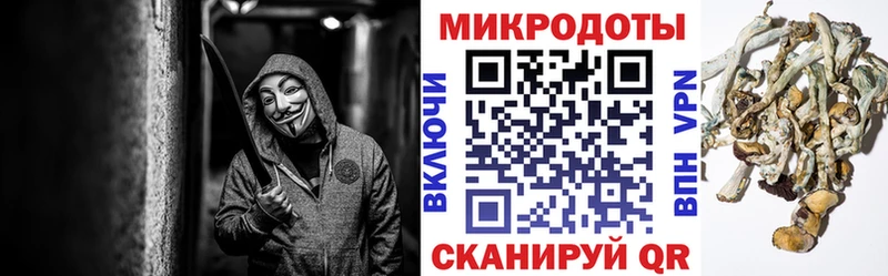 Псилоцибиновые грибы GOLDEN TEACHER  купить   Спас-Клепики 